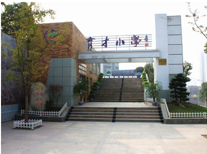 重庆市大渡口区育才小学